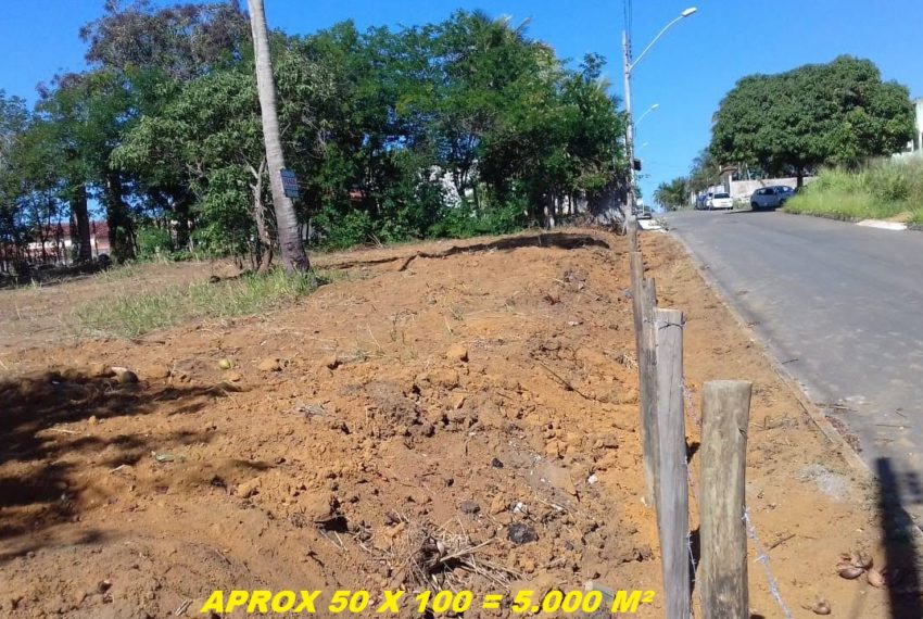 IMG-20190805-WA0009 1