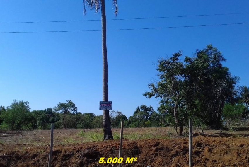 IMG-20190805-WA0016 1