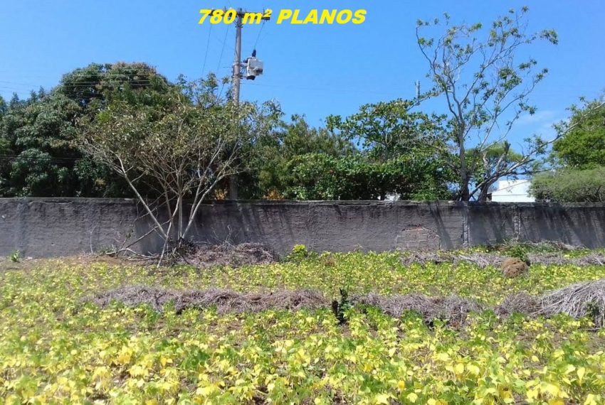 IMG-20190928-WA0021 1