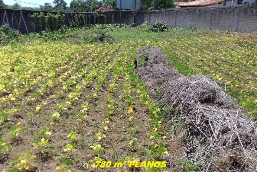 IMG-20190928-WA0042 2