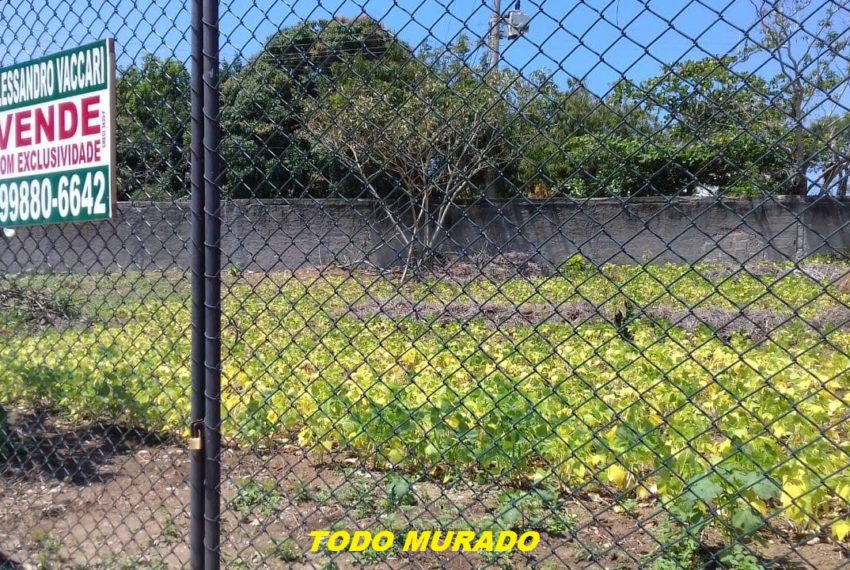 IMG-20190928-WA0043 1