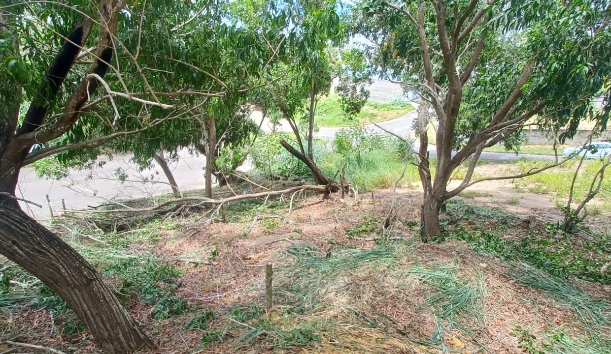 37501ef0-9b93-4f5b-a6e6-8e59c2a84aa5