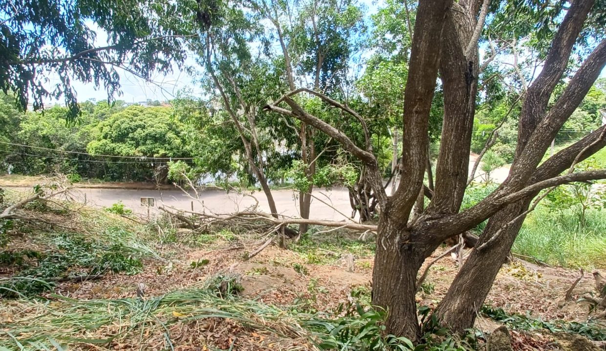 cabd04fe-b621-4bf3-8a8c-d52a1d7abeb2