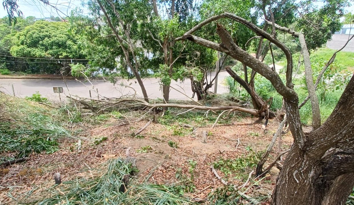 f34917d7-3041-40eb-bde2-469d098a9d50