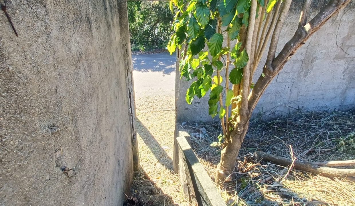 d9982491-6c3f-4137-941f-4a5c9484a779