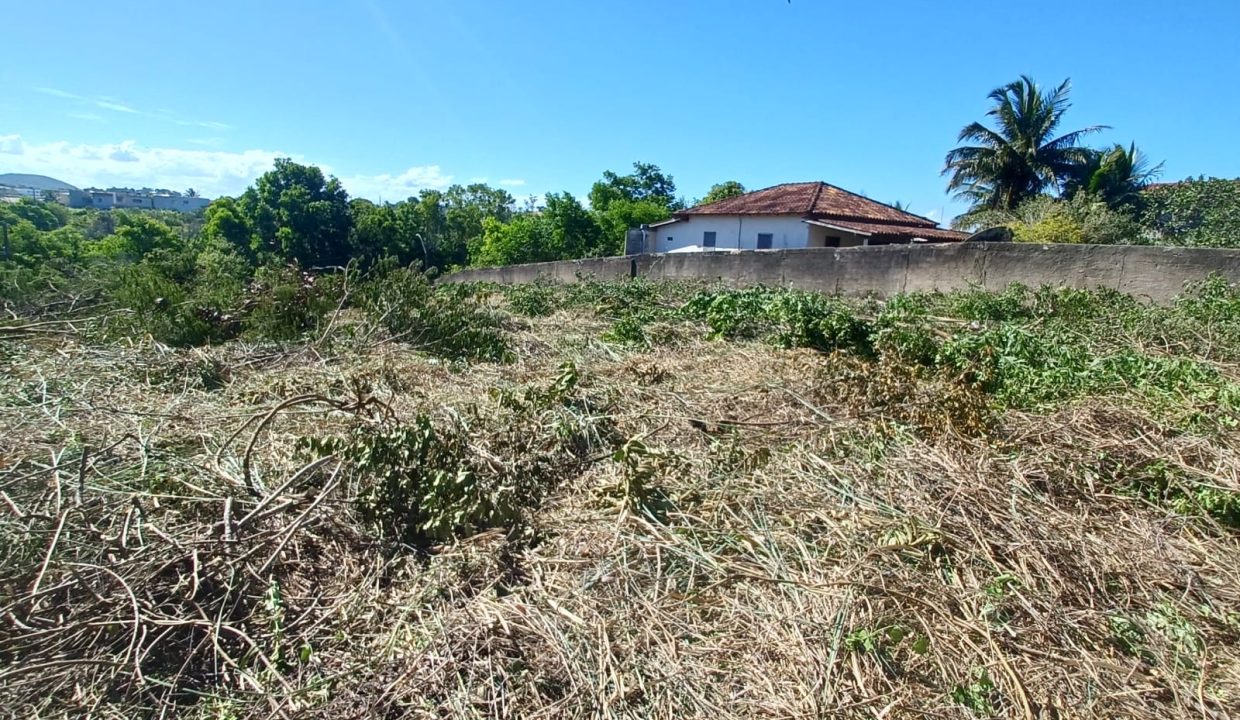 553559a9-cf08-4809-9698-18acb1dc20a4