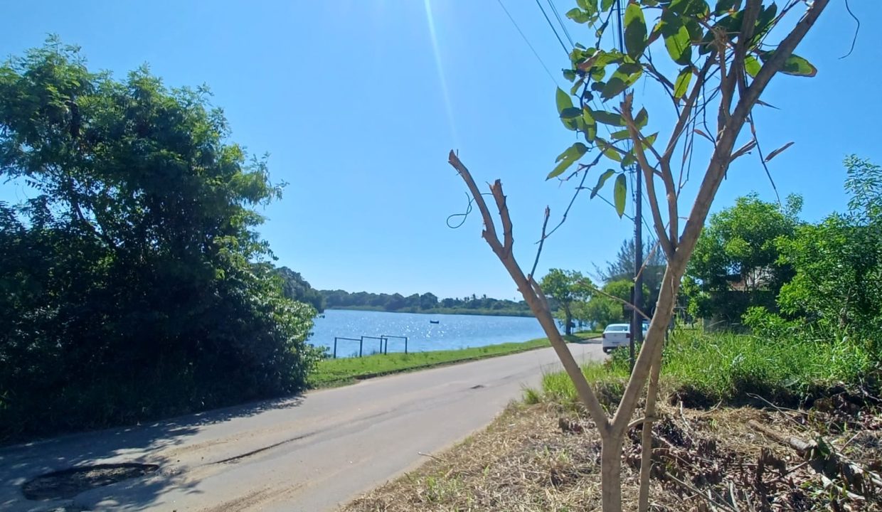 8491a03b-8755-4d2b-b3d9-e20b2a545713