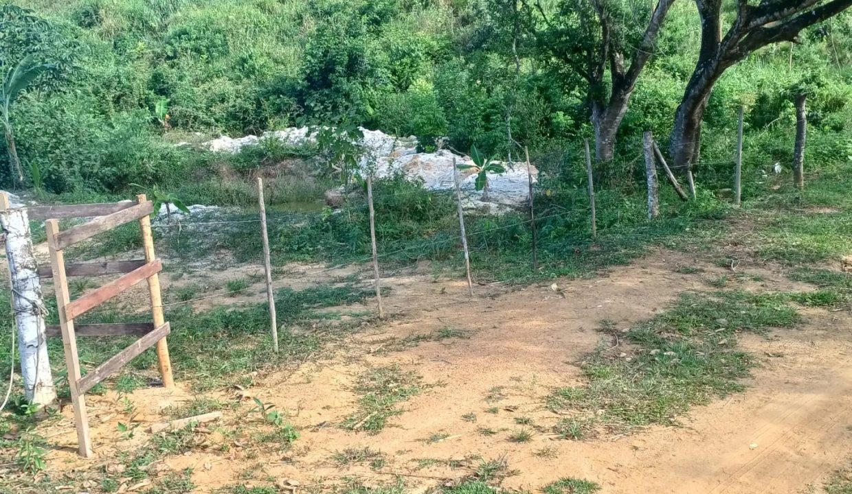 WhatsApp Image 2026-03-26 at 16.40.01